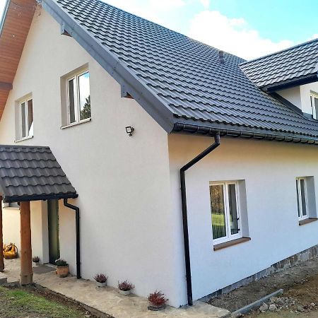 Sowinka Villa Lutowiska Kültér fotó