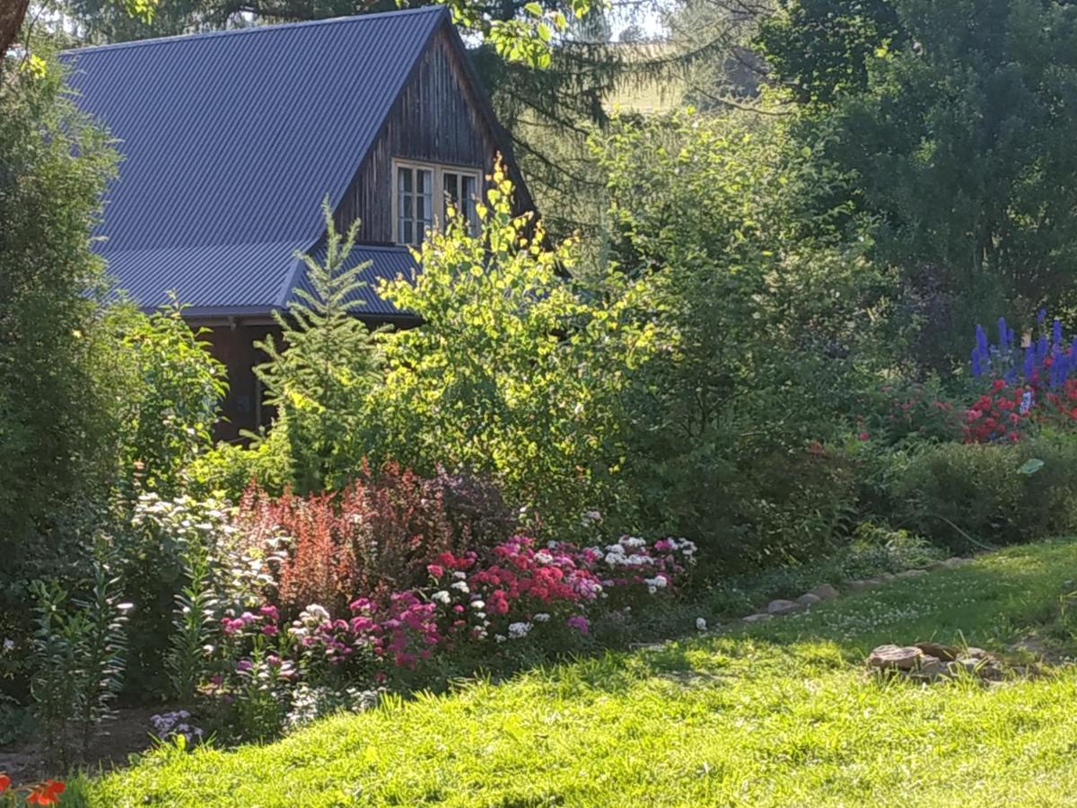 Sowinka Villa Lutowiska Kültér fotó