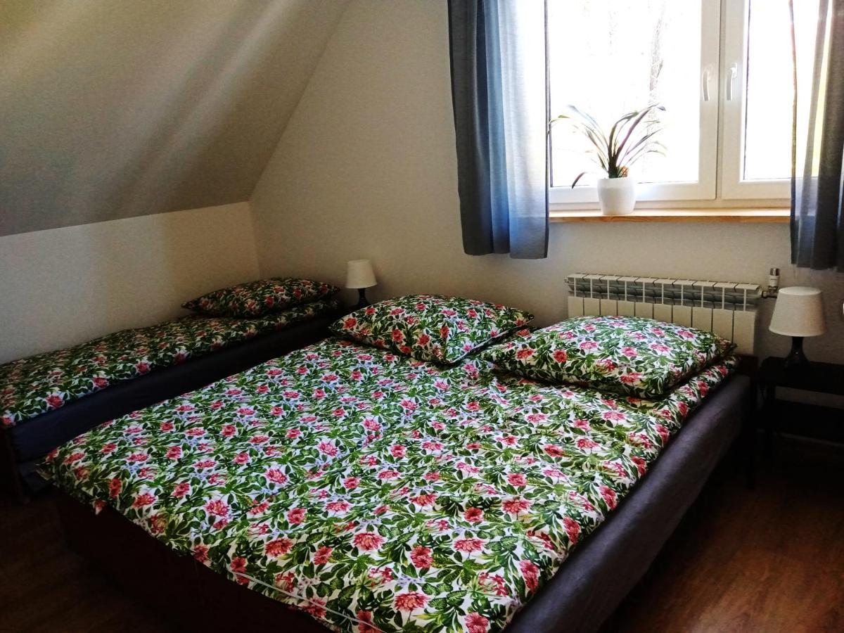 Sowinka Villa Lutowiska Kültér fotó