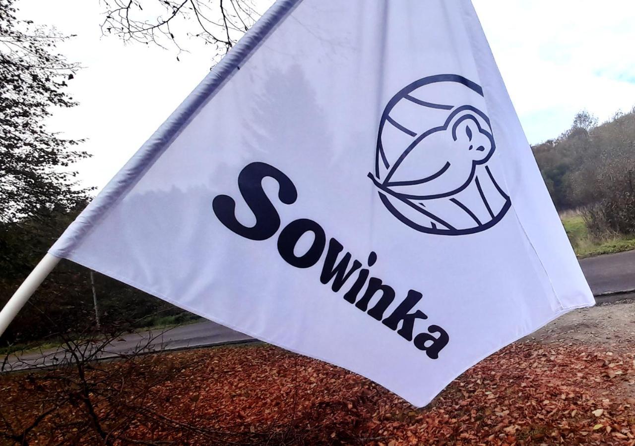 Sowinka Villa Lutowiska Kültér fotó