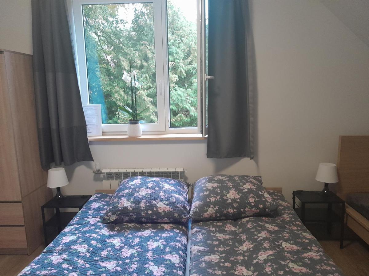 Sowinka Villa Lutowiska Kültér fotó