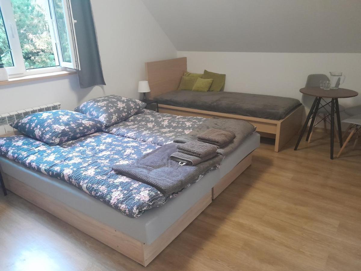 Sowinka Villa Lutowiska Kültér fotó