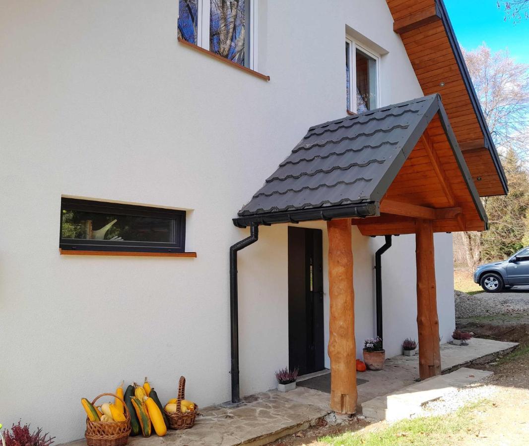 Sowinka Villa Lutowiska Kültér fotó