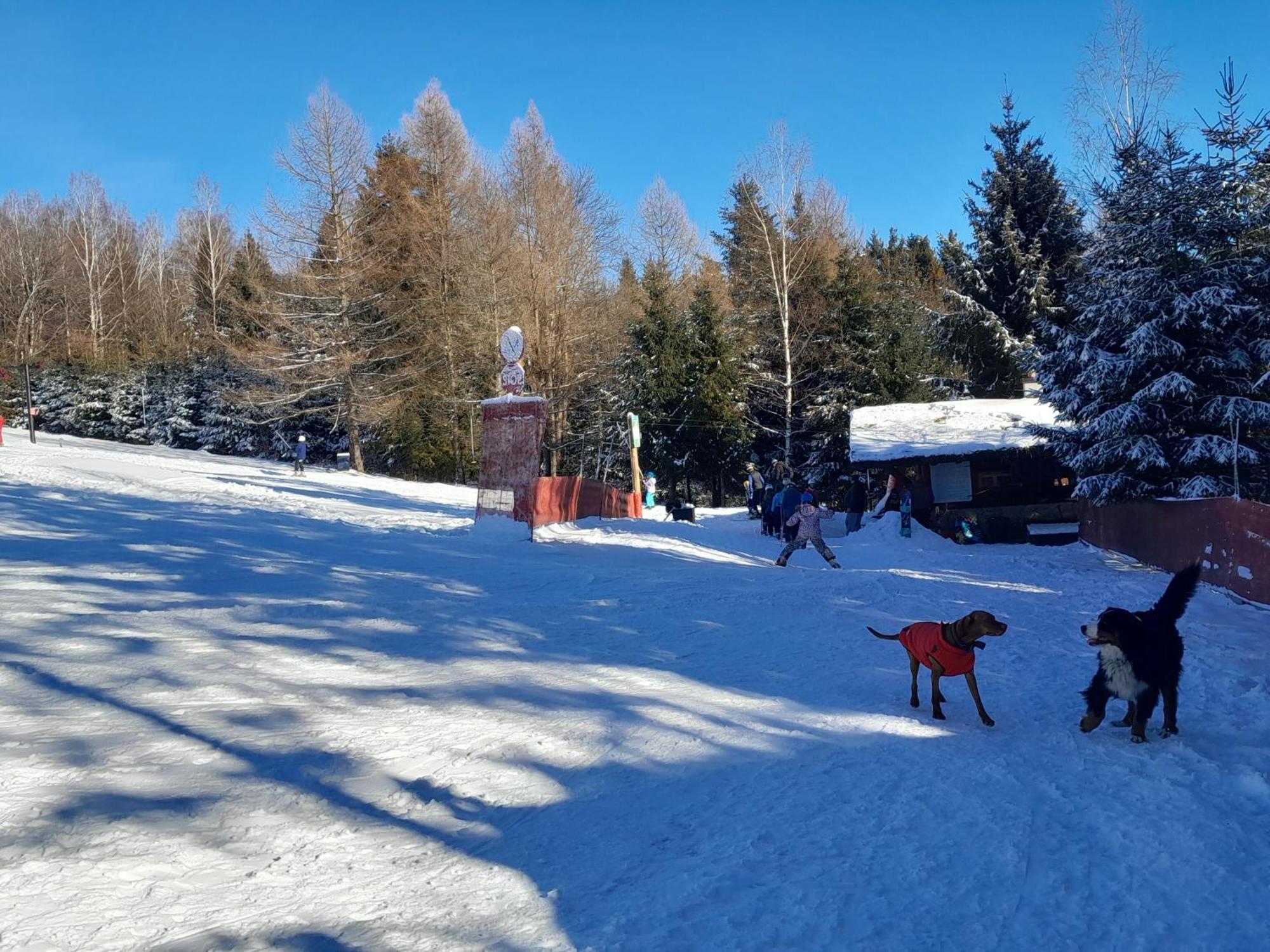 Sowinka Villa Lutowiska Kültér fotó