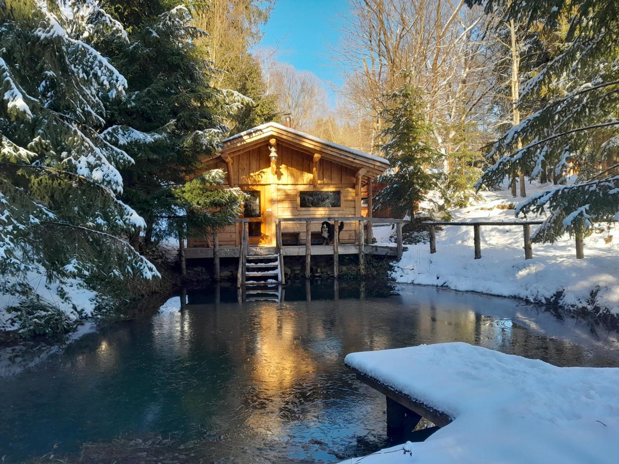 Sowinka Villa Lutowiska Kültér fotó