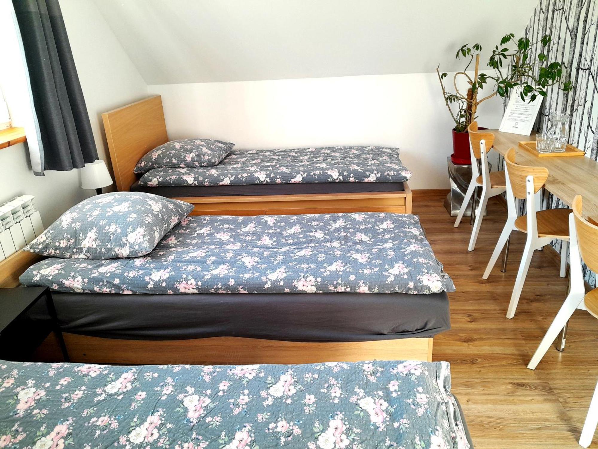 Sowinka Villa Lutowiska Kültér fotó